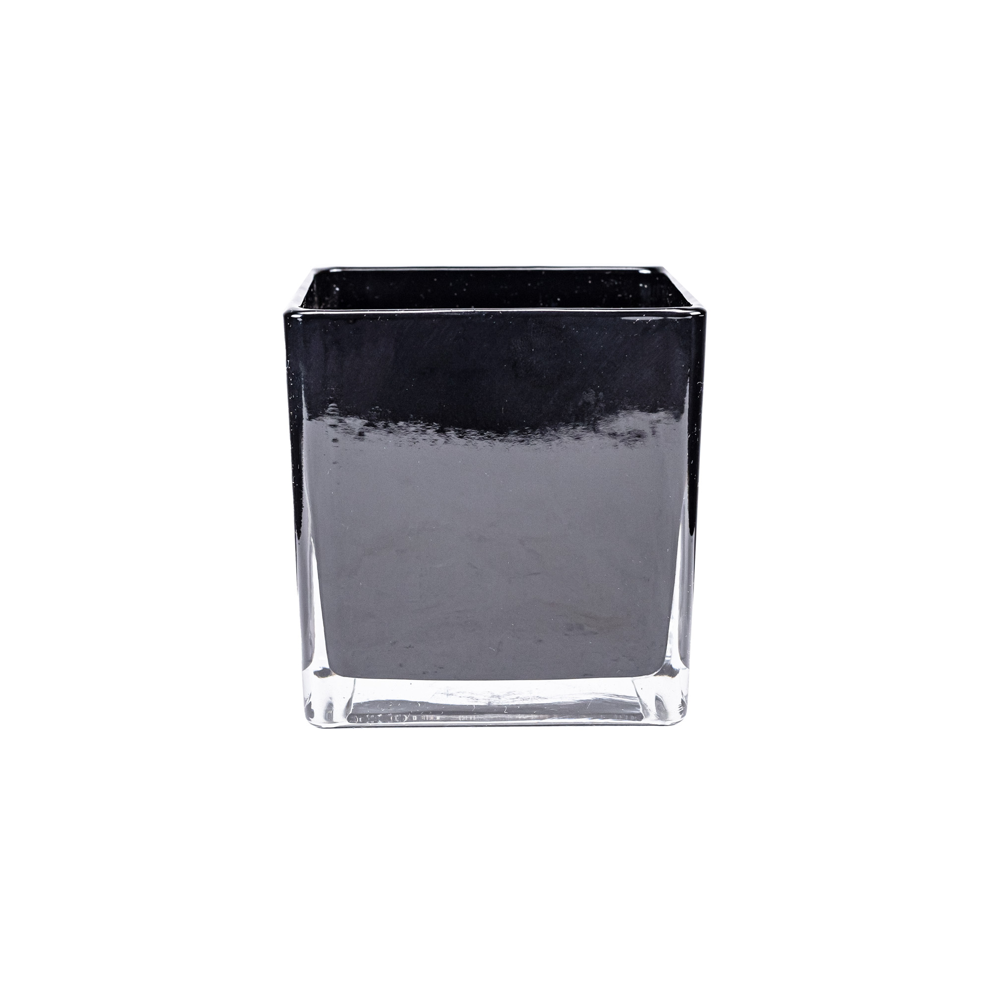 Роза плетистая Натура Силуэтта